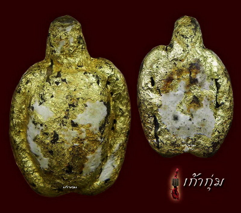 เต่าทองมหาลาภ ครูบาชัยวงค์