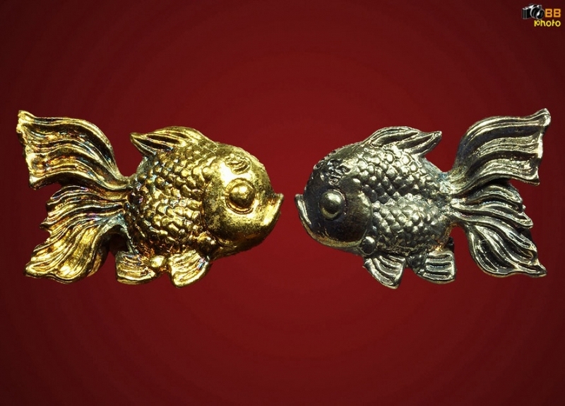 ปลาเงินปลาทอง ครูบาคำแสนปี 20