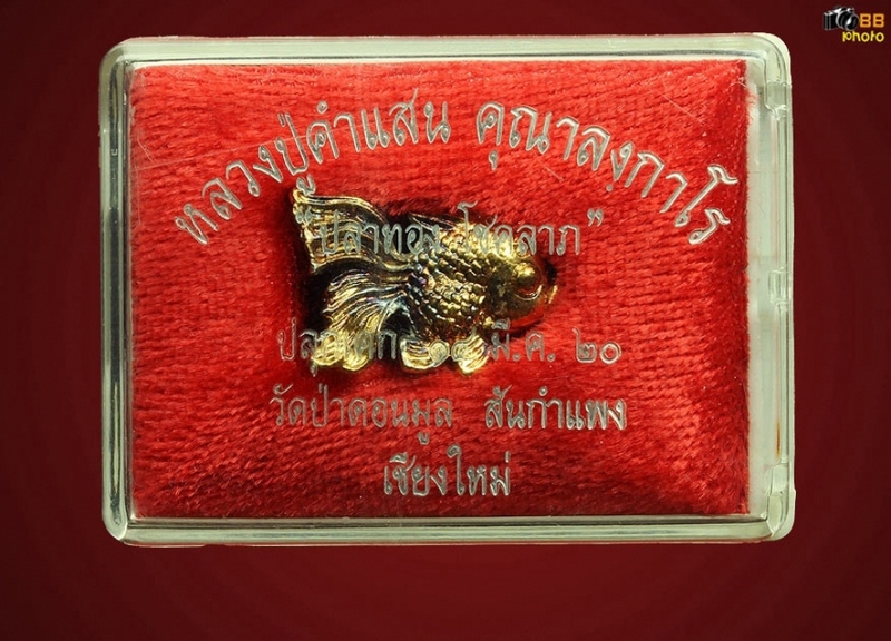ปลาเงินปลาทอง ครูบาคำแสนปี 20