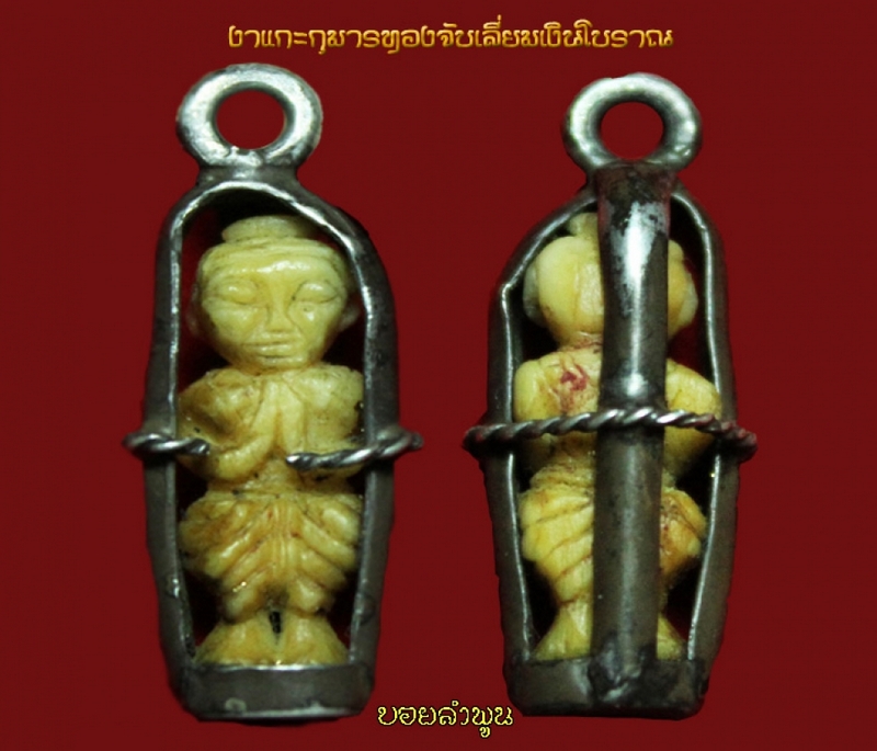 งาแกะกุมารทอง