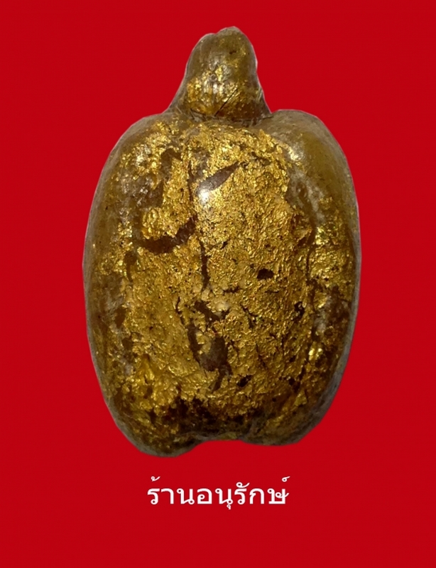 เต่าสำลีครูบาชัยยะวงศาพัฒนา  วัดพระบาทห้วยต้ม