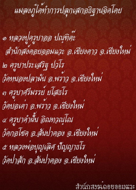 แมลงภู่ ครูบาออ เนื้อไม้มงคล ขนาด 1 นิ้ว หมายเลย 46