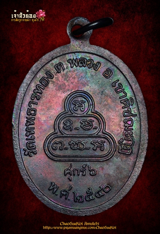 เหรียญรุ่นแรกหลวงปู่พิศดู ธมฺมจารี