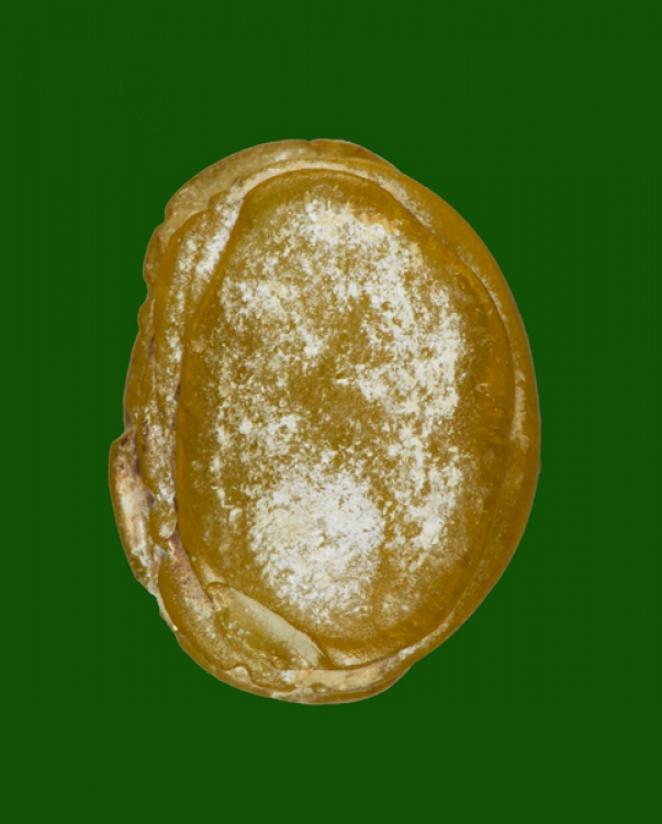 พระสังกัจจายเนื้อบุษราคัมสีเหลือง กรุฮอด ขนาดหน้าตัก 1.2 cm  